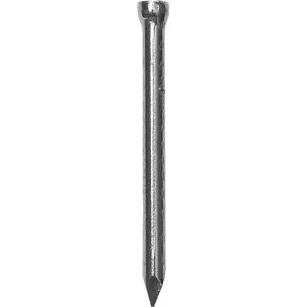 Гвозди ЗУБР финишные оцинкованные по дереву/листовому металлу, 1,6х30мм, ТФ1, 2000шт 4-305311-16-030 купить в Новом Уренгое