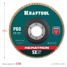 Круги лепестковые керамические торцевые 36598-125-60 купить в Новом Уренгое