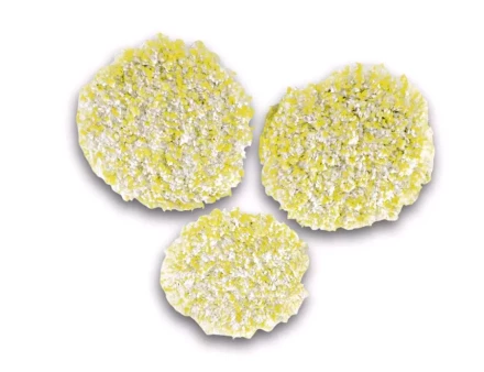 Пады для полировки камня/линолеума/ПВХ, 3 шт насадка для полотера FP KARCHER купить в Новом Уренгое