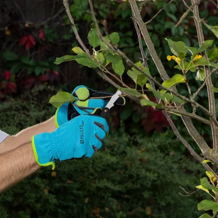 Нож садовый Palisad, 165 мм, складной, окулировочный, пластиковая рукоятка, 790547 купить в Новом Уренгое