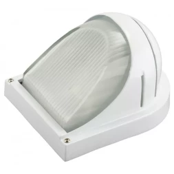 Светильник уличный СВЕТОЗАР &quot;СКАТ&quot; влагозащищенный, цвет белый, 60Вт SV-57355-W