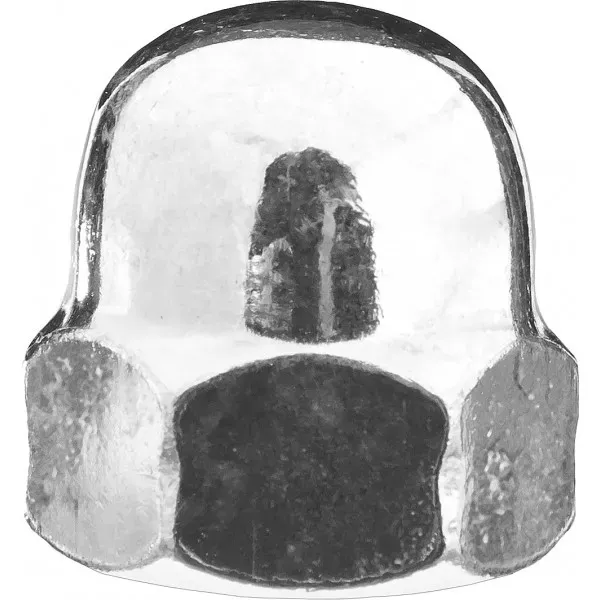 Гайка ЗУБР колпачковая DIN 1587, оцинкованная,  M5, ТФ0, 12000 шт. 4-303680-05 купить в Новом Уренгое