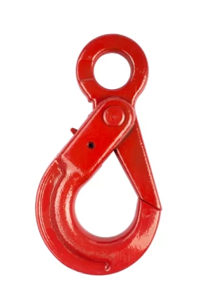 Крюк самозакрывающийся с проушиной TOR 5,3 т (S) 1044662 купить в Новом Уренгое