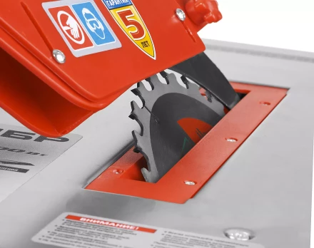 Станок распиловочный ЗПДС-200-800 серия МАСТЕР купить в Новом Уренгое