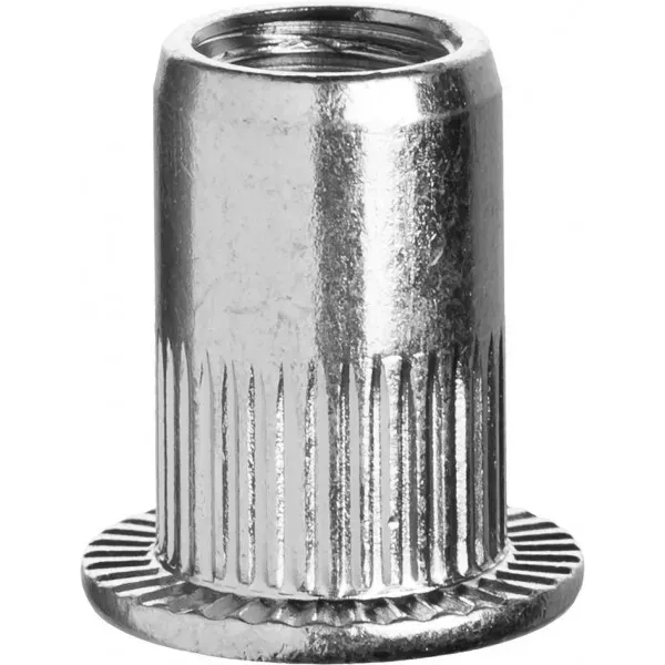 Заклепки ЗУБР резьбовые с насечками, М6, 500шт 31317-06 купить в Новом Уренгое
