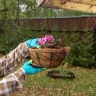 Кашпо подвесное с орнаментом Palisad, с кокосовой корзиной, диаметр 30 см, 690048 купить в Новом Уренгое