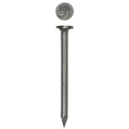 Гвозди ЗУБР строительные по дереву, листовому металлу, 1,2х20мм, ТФ6, 500шт 4-305016-12-020
